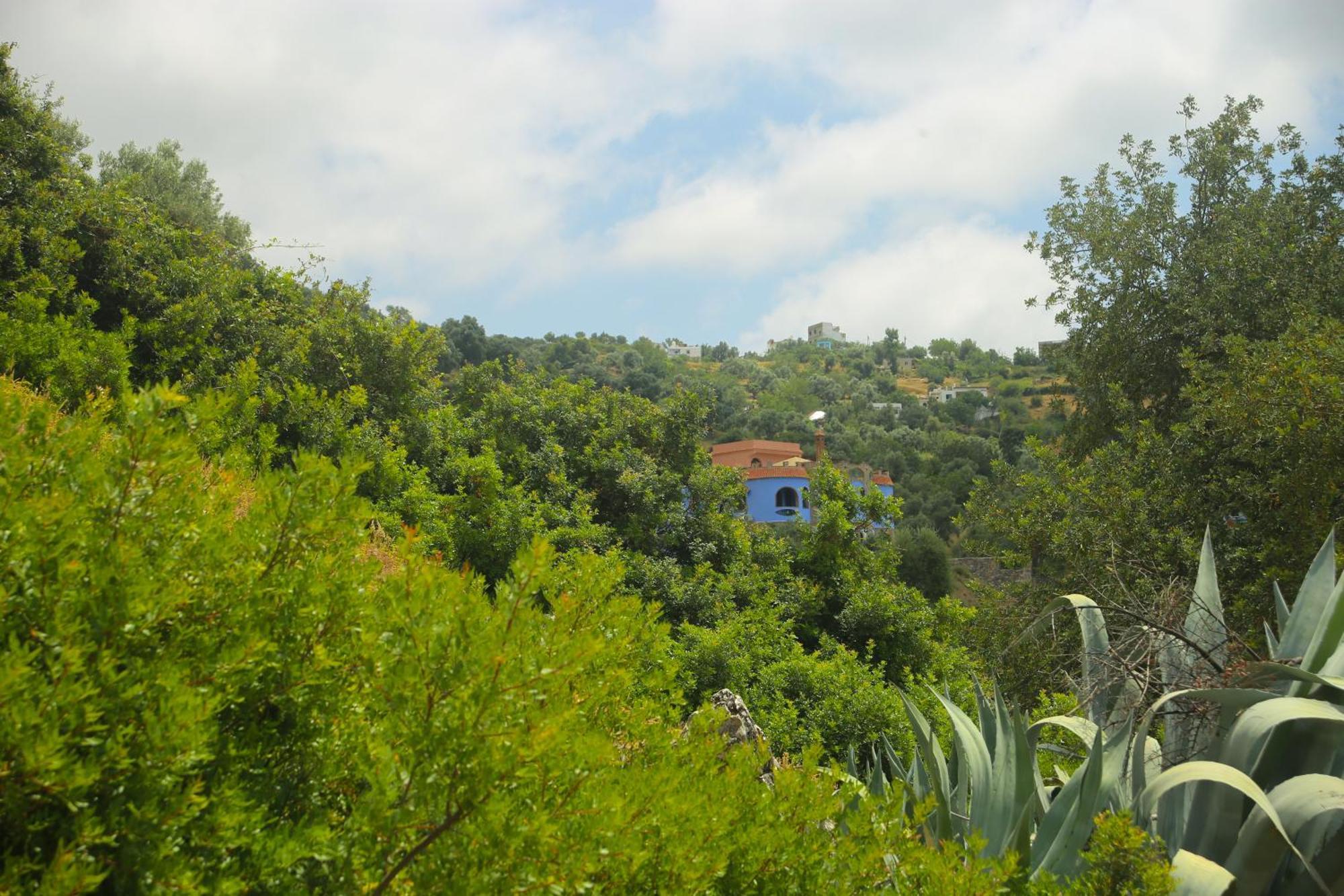 Haven Hills Social Club Hotel Chefchaouen Exterior photo